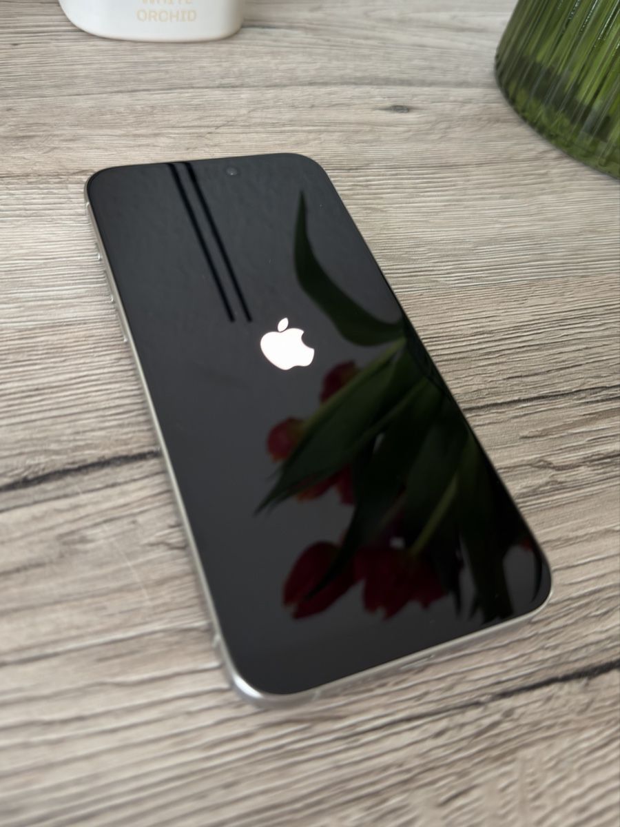 Apple Telefoni cellulari / Smartphones: iPhone 15 Pro Max – Usato da Wetzikon ZH venduto da ber_pr6n 2