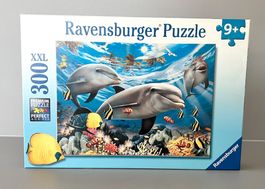 Delfin Puzzle, 300 Teile