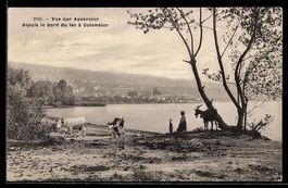 AK Auvernier, Vue sur Auvernier depuis le bord du lac a Colo