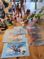 Playmobil Dragons Konvolut