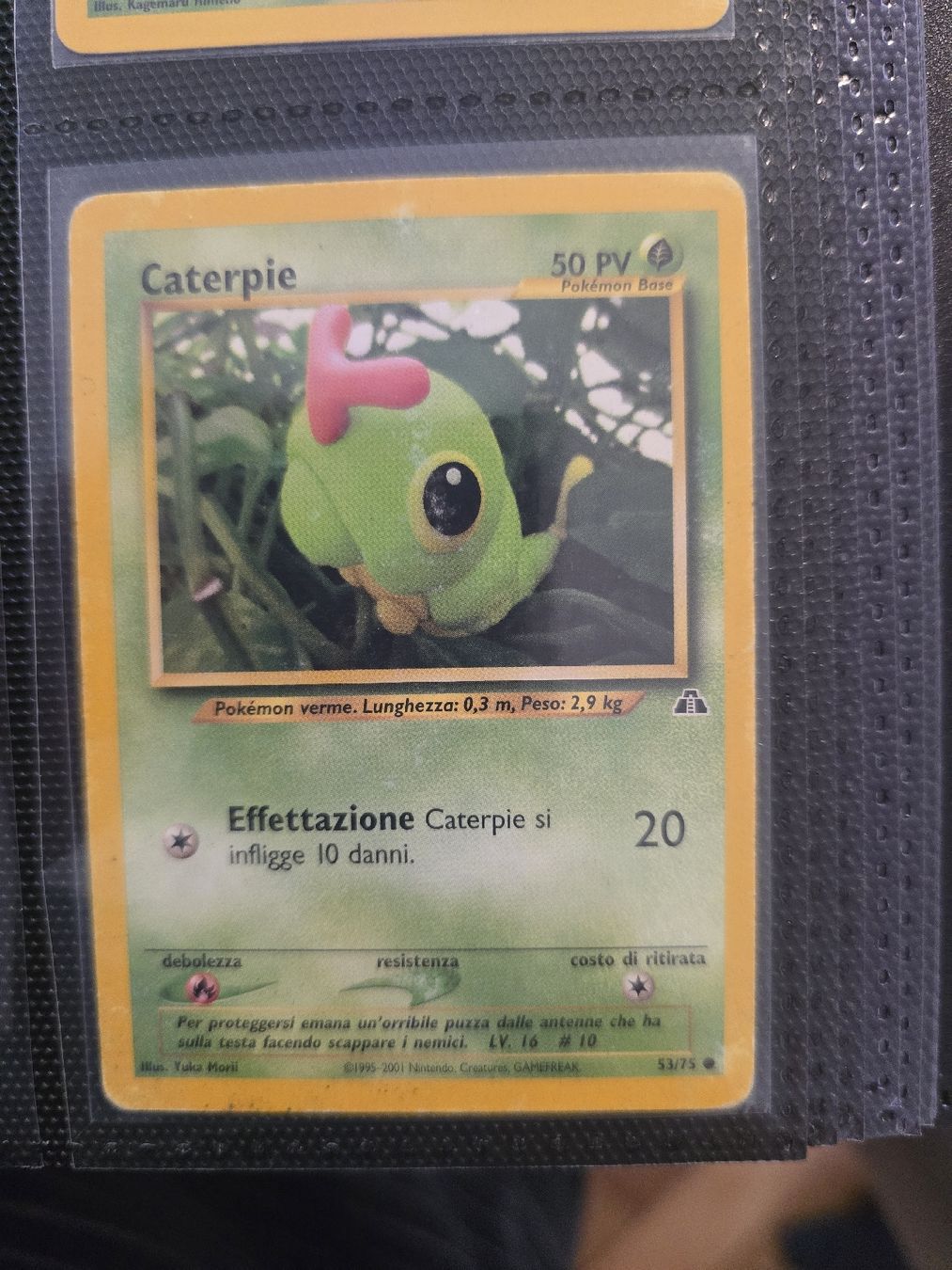 Pokémon Carte collezionabili: neo Discovery pokemon italien  – Usato da Genève venduto da Hoenn. 1