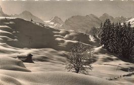 Wengen BE winterliches Panorama der Berner Alpen