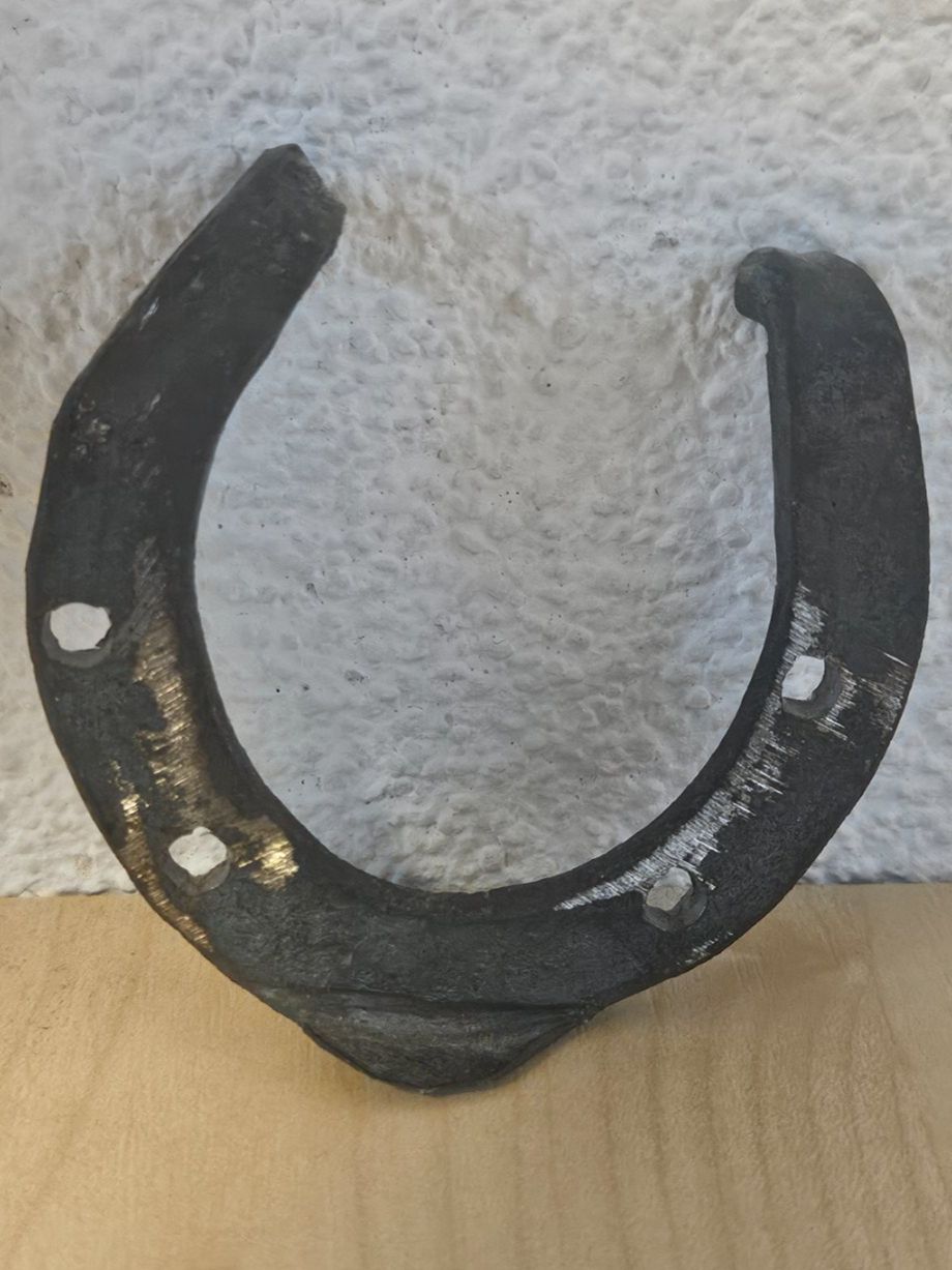 Altro in Accessori per animali: Hufeisen, Glücksbringer – Usato da Jona venduto da ASMARADO 1