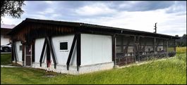 Gebäudehülle (heute Hühnerstall) gratis abzubauen