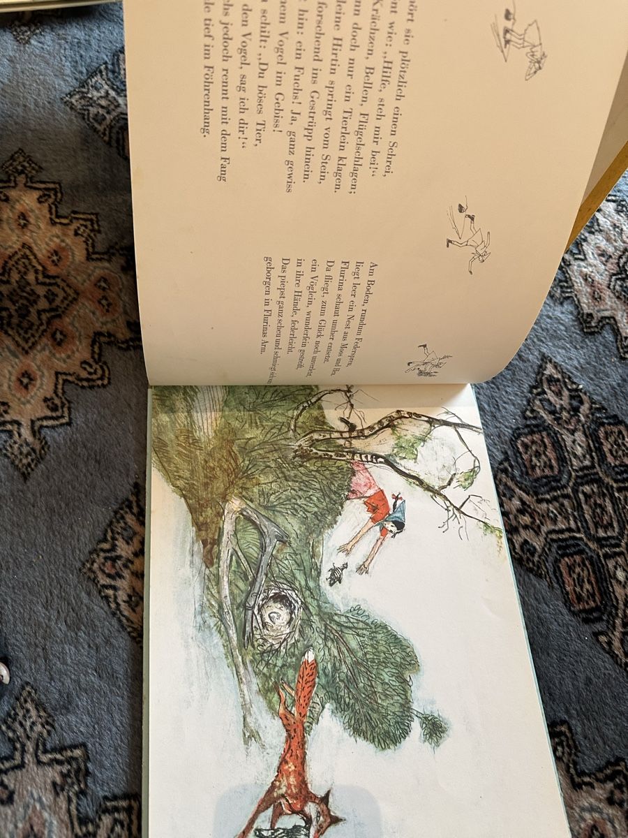 Libri: Flurina und wildvöglein – Usato da Uster venduto da bek_v2ct 5