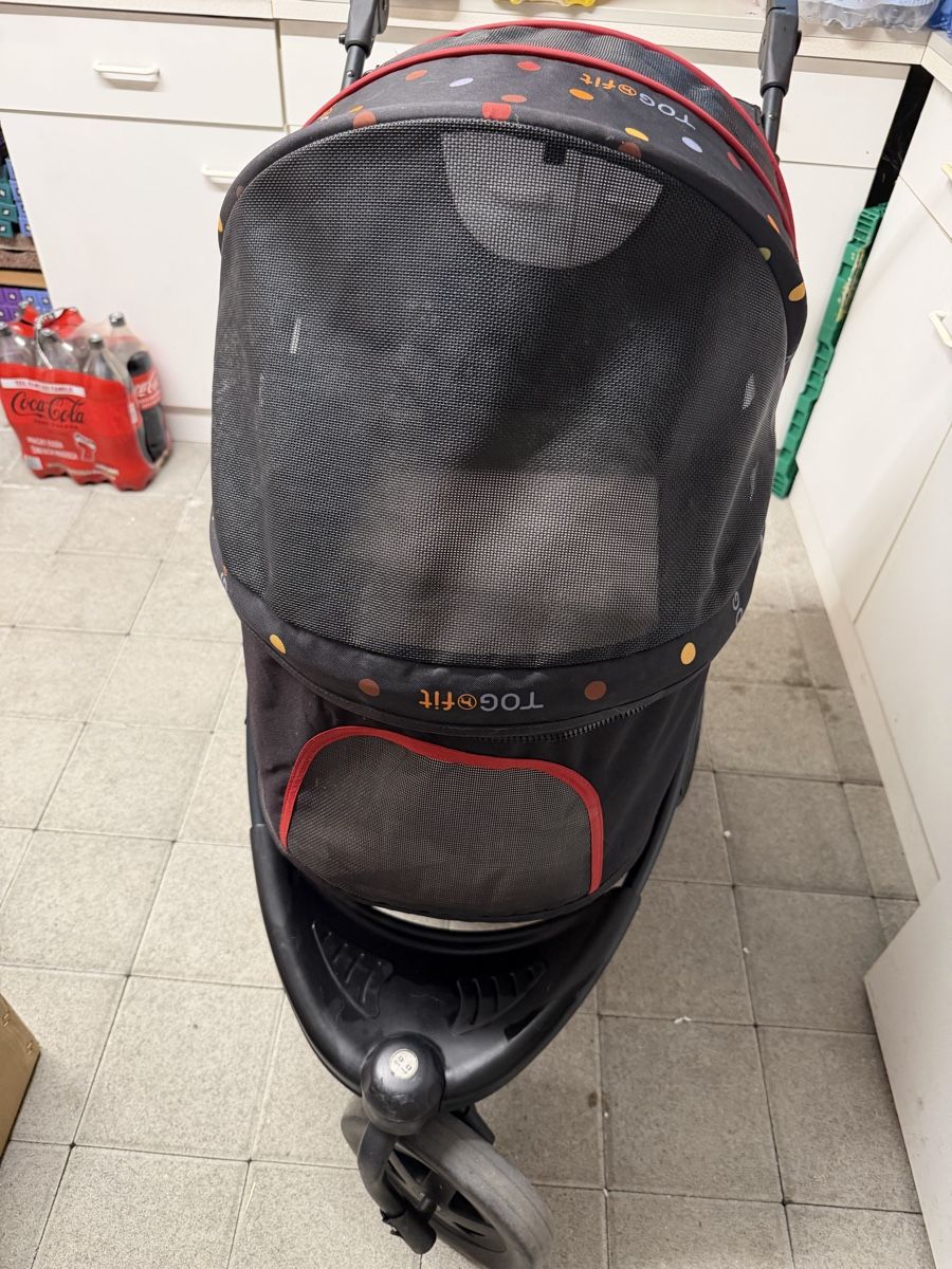 Carrozzine: Hundebuggy Tog fit  – Usato da Beromünster venduto da Ctempo 2
