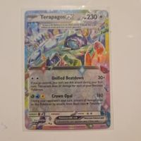 Terapagos ex full Art Ascended Heroes 179/217 Englisch