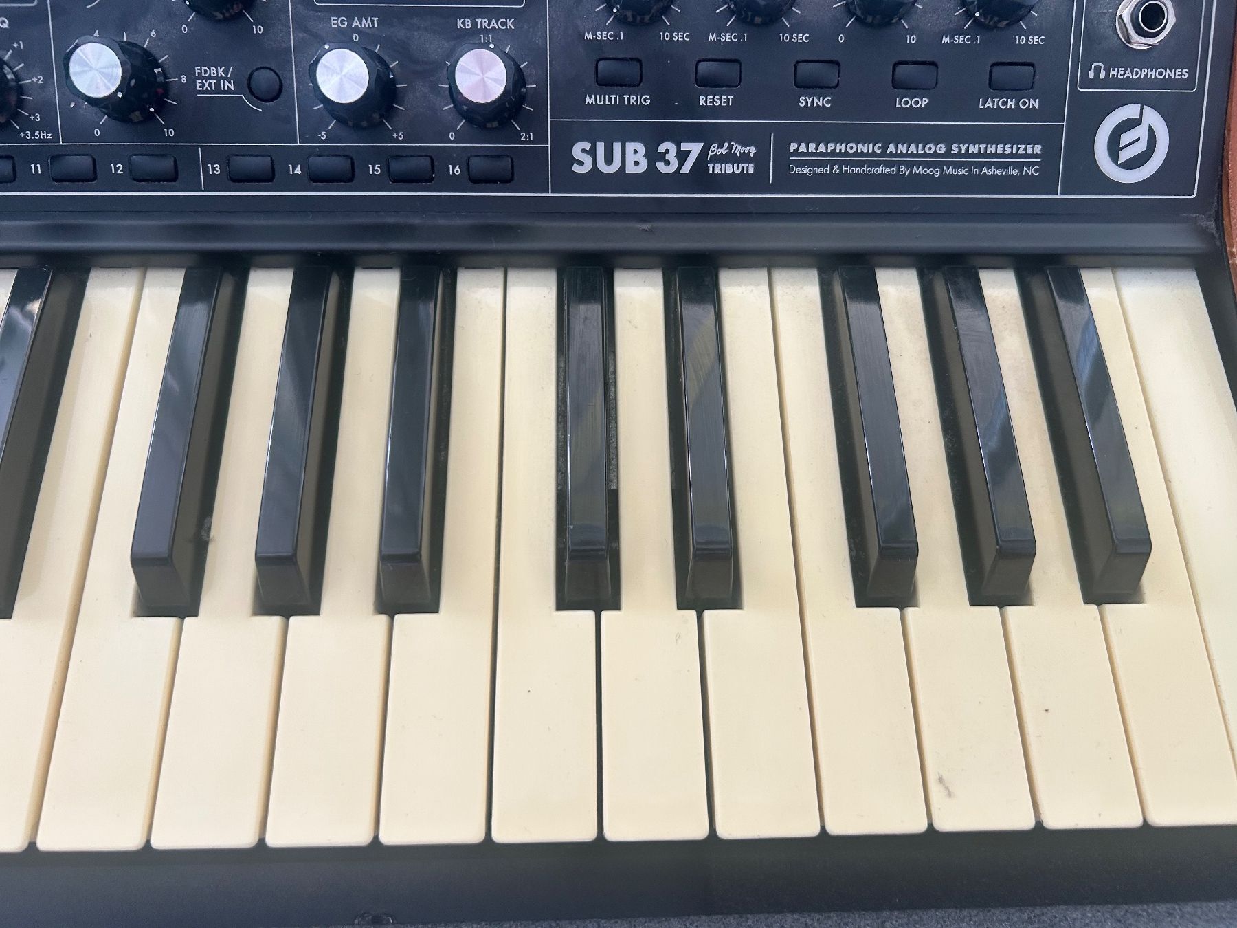 Moog Strumenti musicali: Moog Sub 37 – Bob Moog Tribute Edition | mit Hardcase – Usato da Bern venduto da yanmosi 3