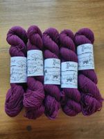 lot de 5 écheveaux de laine Varas Wooldreamers 