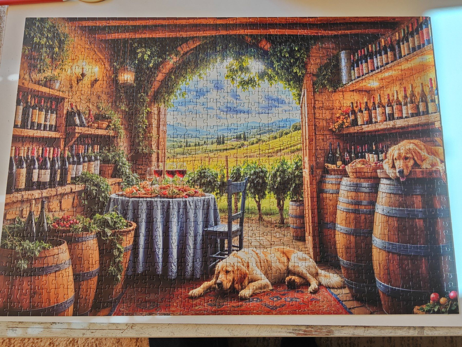 Puzzles: 5 Puzzles – D'occasion à Staad SG par Hope80 1