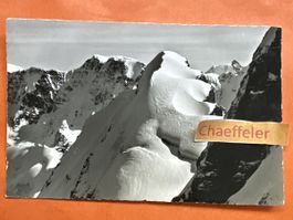 3631 Gspaltenhor: Mittaghorn, Tschingelspitz, Aletschhorn
