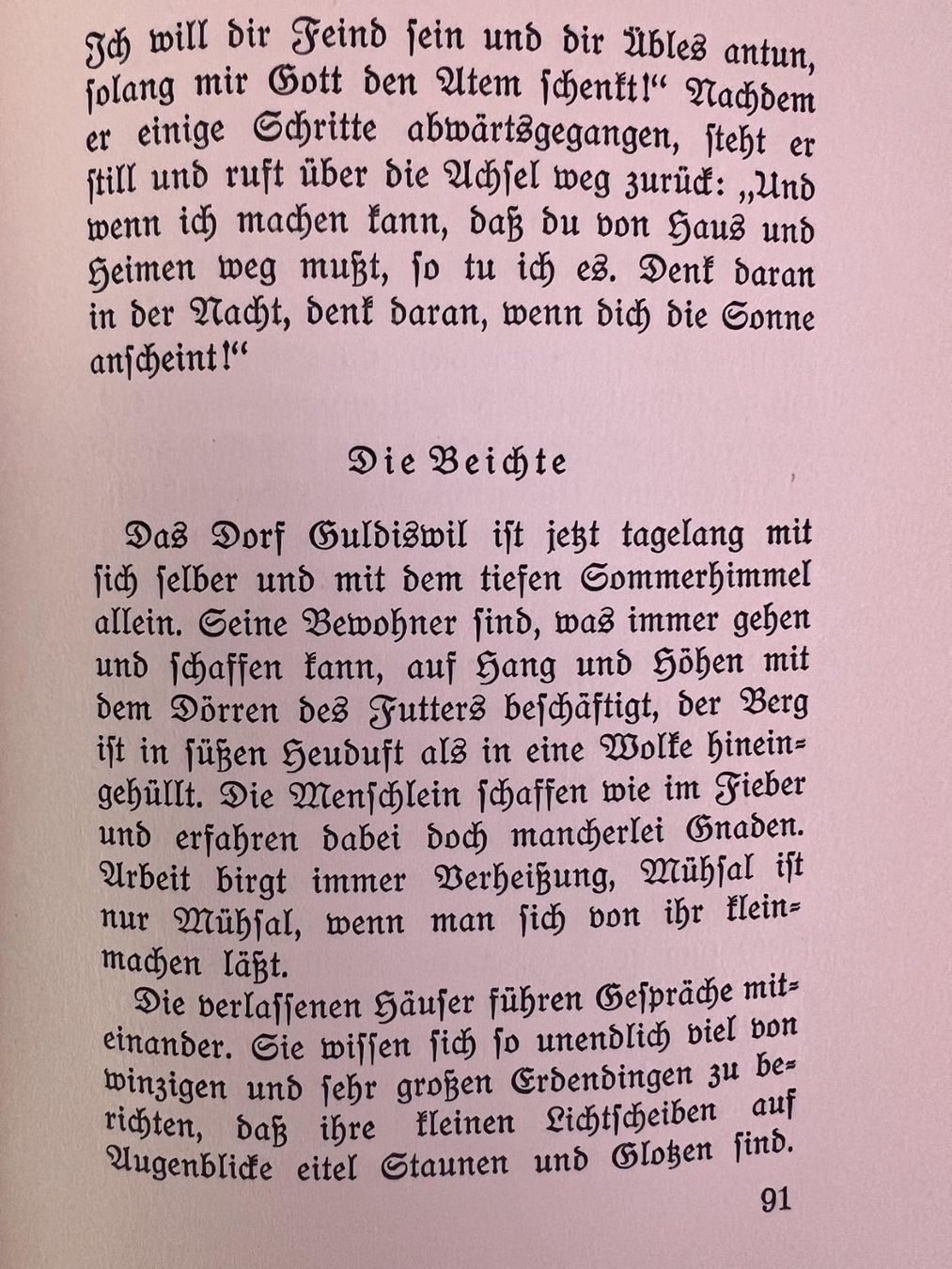 Libri: Buch - "Der wunderliche Berg Höchst" – Usato da Winterthur venduto da Green-Future 6