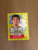 Panini 2026 ARG 7