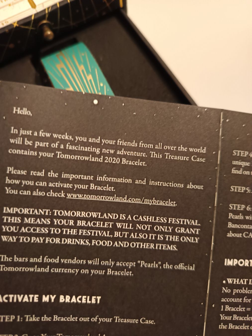 Armbänder & -reifen: Tomorrowland 2020 Bracelet – Gebraucht aus Romanshorn von Stark_Tony8 2
