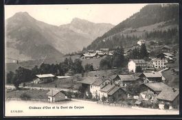 Château d'Oex, Panorama et la Dent de C