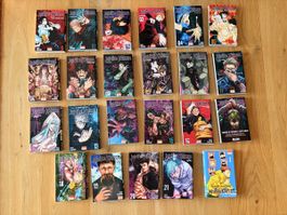 Jujutsu Kaisen (FR)