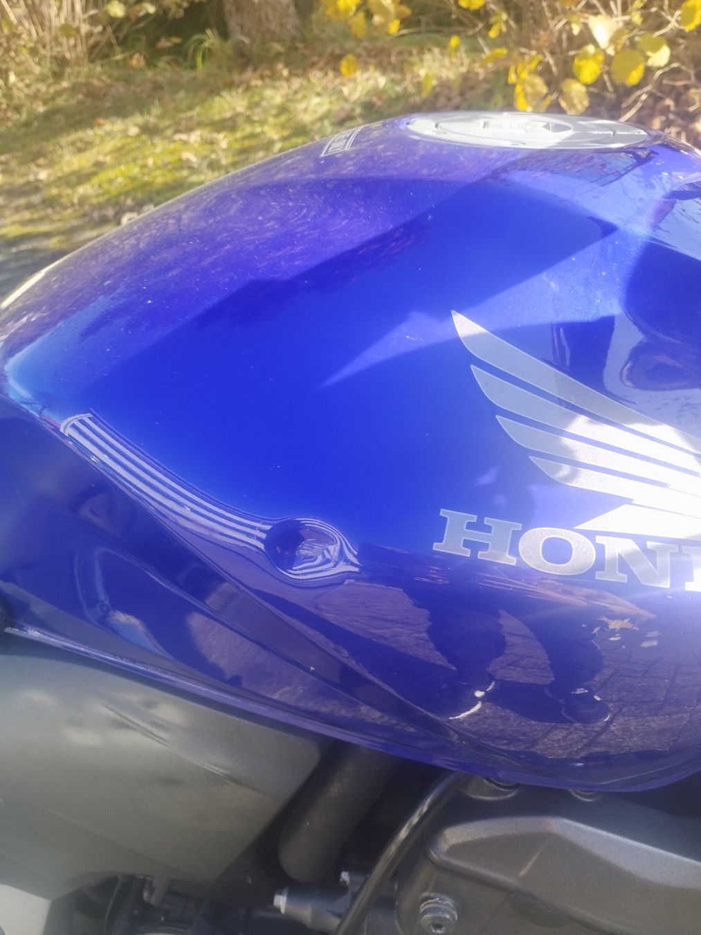 Honda Strada: Honda Hornet CB600FA 25kW Kat.-A – Usato da Fischenthal venduto da JURIGINAL 6