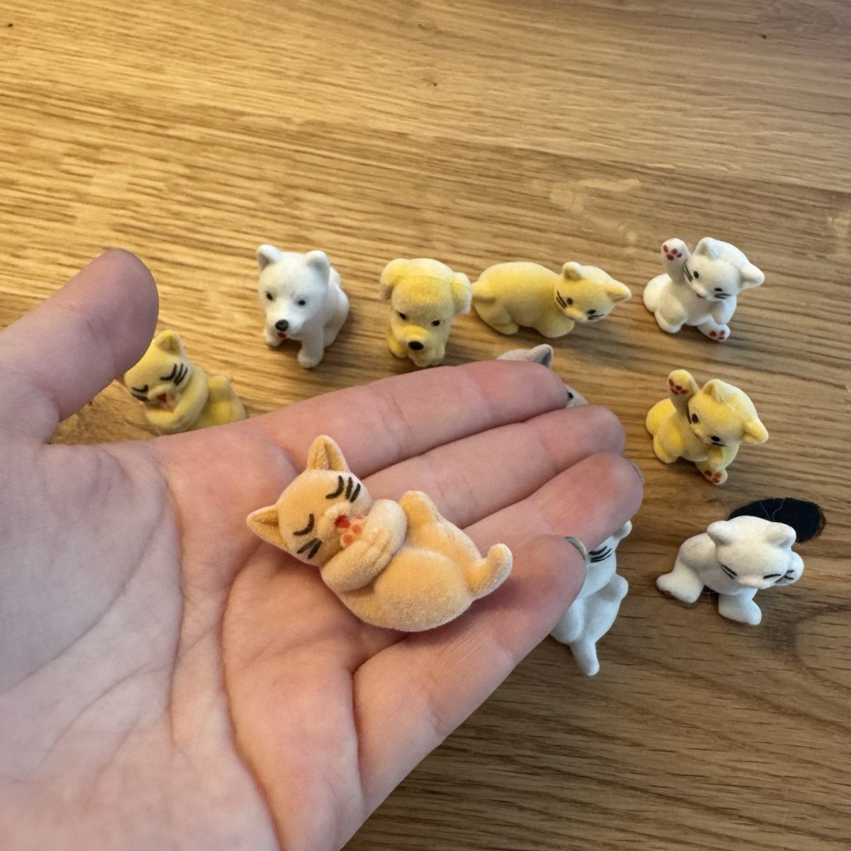 Giocattoli: Tierfiguren Set – Nuovo (secondo la descrizione) da Sursee venduto da giu_205 1