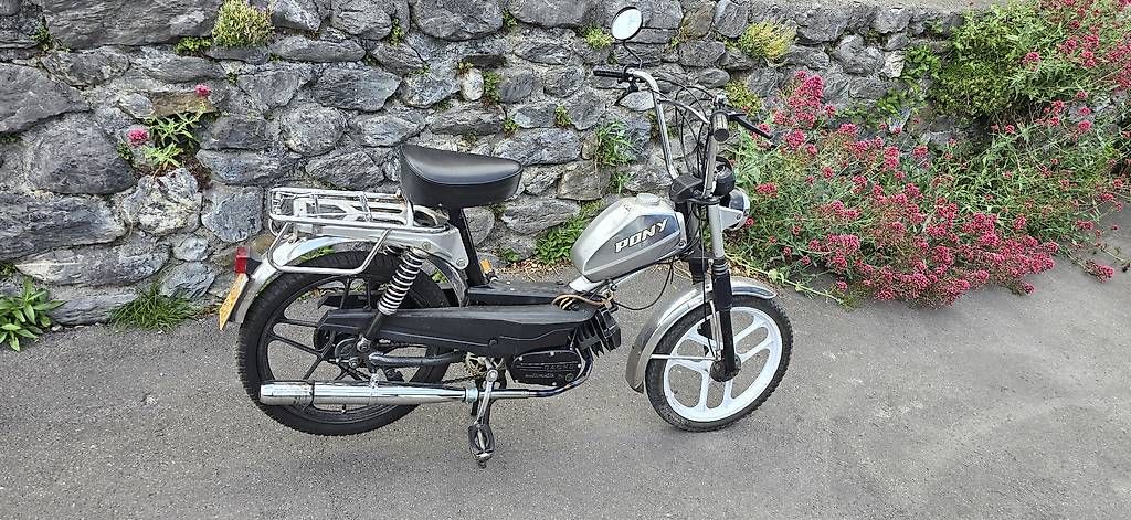 Ciclomotori: Pony 503 Gtx – Usato da Heiligkreuz (Mels) venduto da kaw_xn9c 1