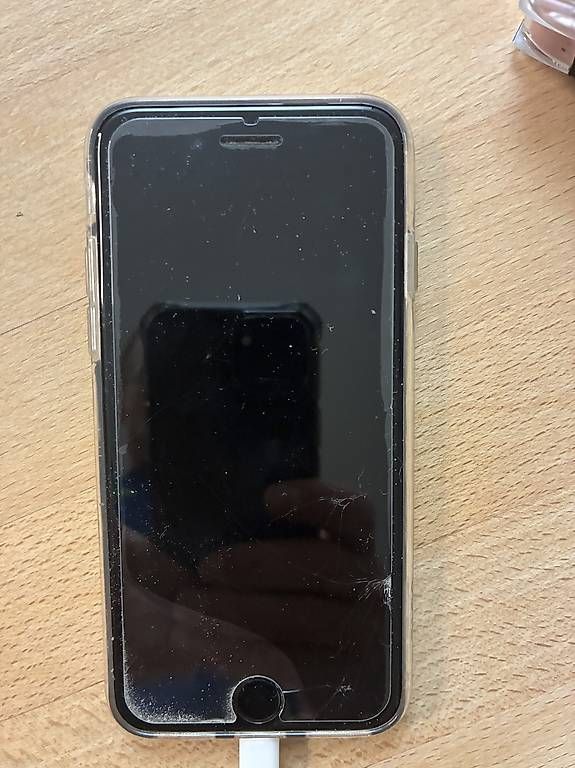 Telefoni cellulari / Smartphones: iPhone SE – Usato da Zofingen venduto da Scbtrizo