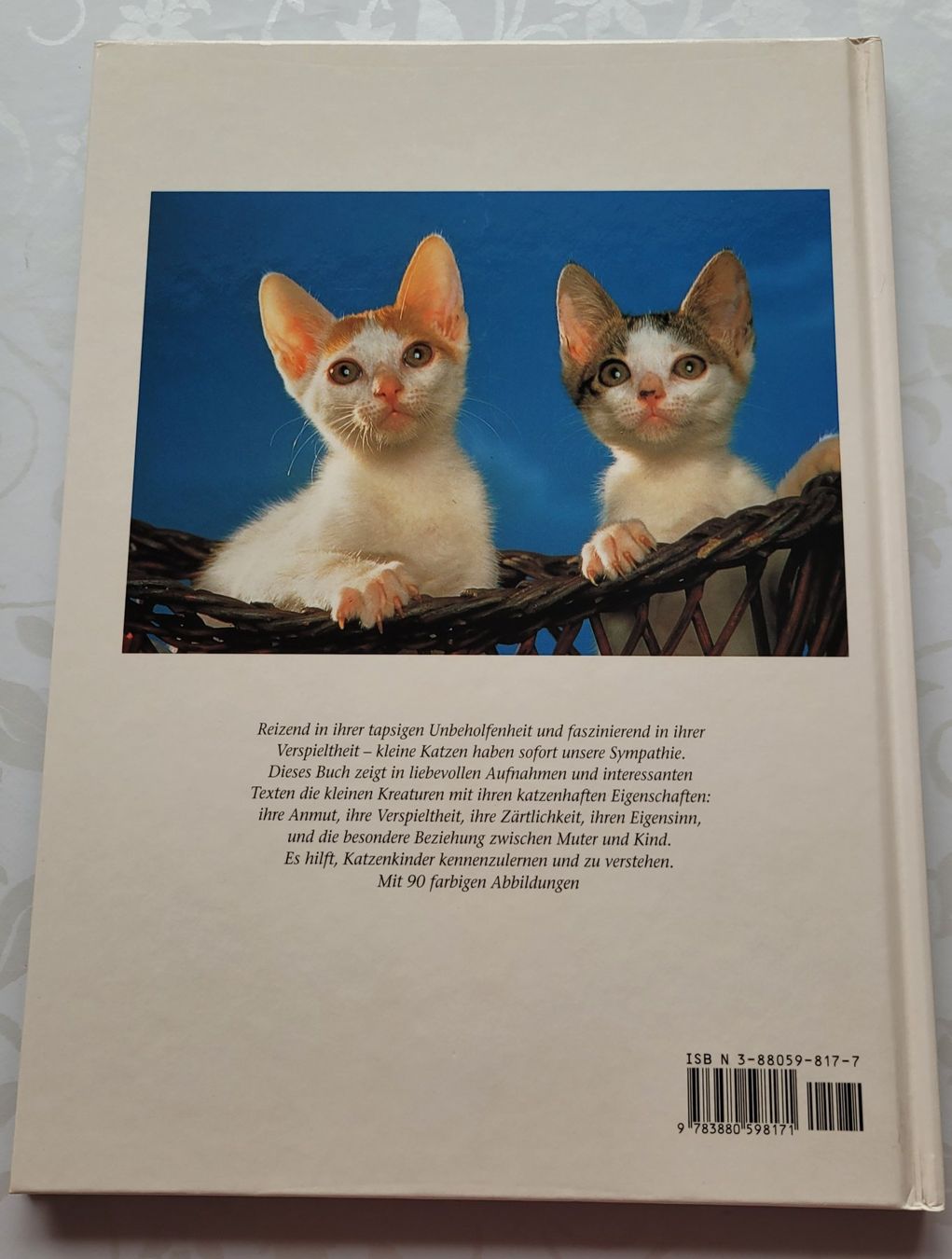 Bücher: Marcus Schneck - Katzenkinder – Gebraucht aus Zürich von fourpaws 1