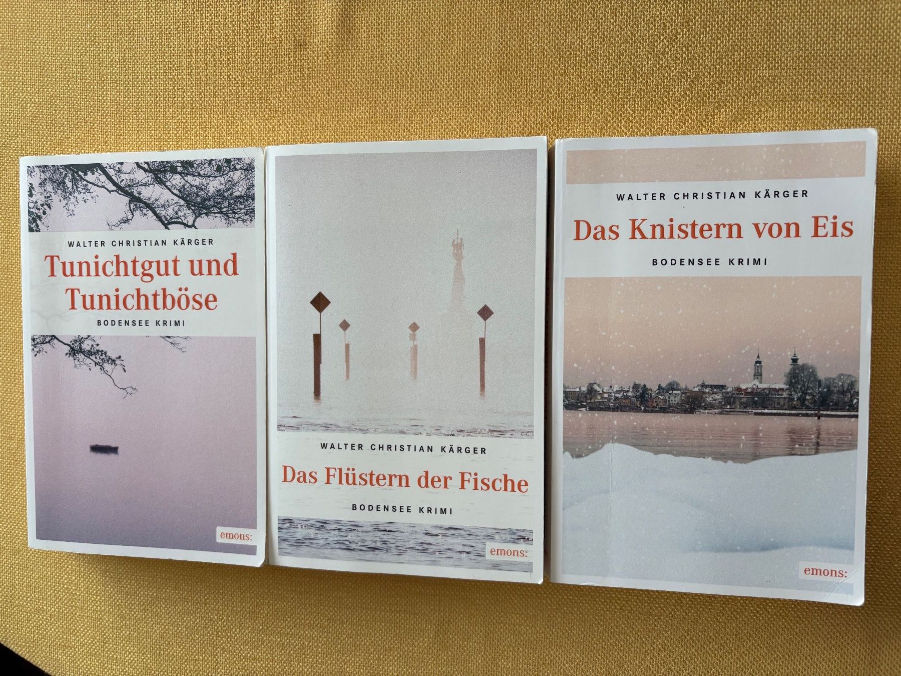 Libri: 9 Schweizer Krimis (Bodensee) – Usato da Oberweningen venduto da Gerini 2