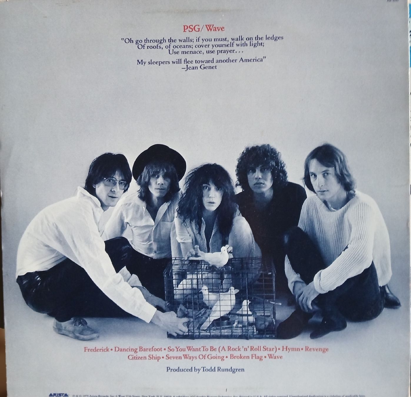 Dischi in vinile: LP - Patti Smith /  Wave  – Usato da Lausanne venduto da Soulbrother 1