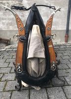 Luzerner Fahrgeschirr / Holzrücken