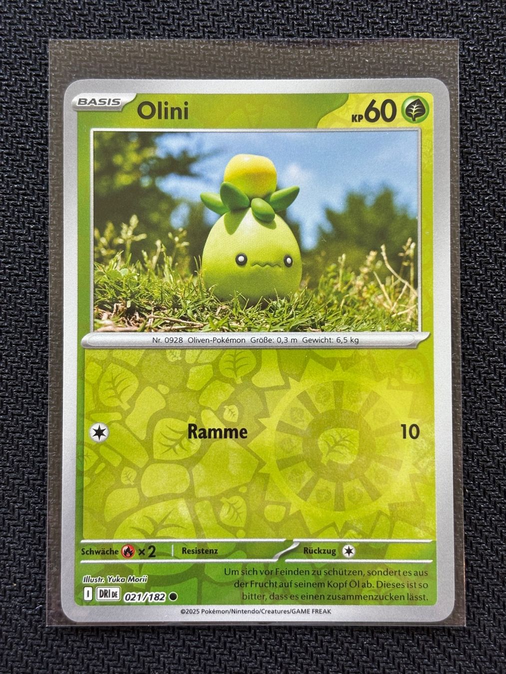 Pokémon Carte collezionabili: Olini (DRI 021) Reverse Holo - Ewige Rivalen - DE – Nuovo (secondo la descrizione) da Hergiswil NW venduto da Feybyen