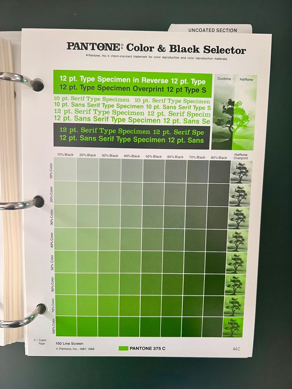 Raccoglitori: 5 Ordner /Bände Pantone Color Guide – Usato da Bolligen venduto da JaMiJe 2
