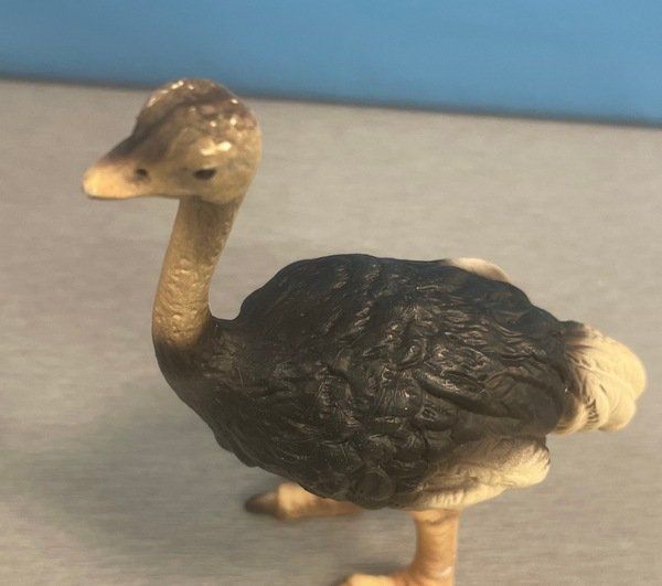 Schleich Spielzeuge: Schleich Strauss – Gebraucht aus Sirnach von sagrotin 1