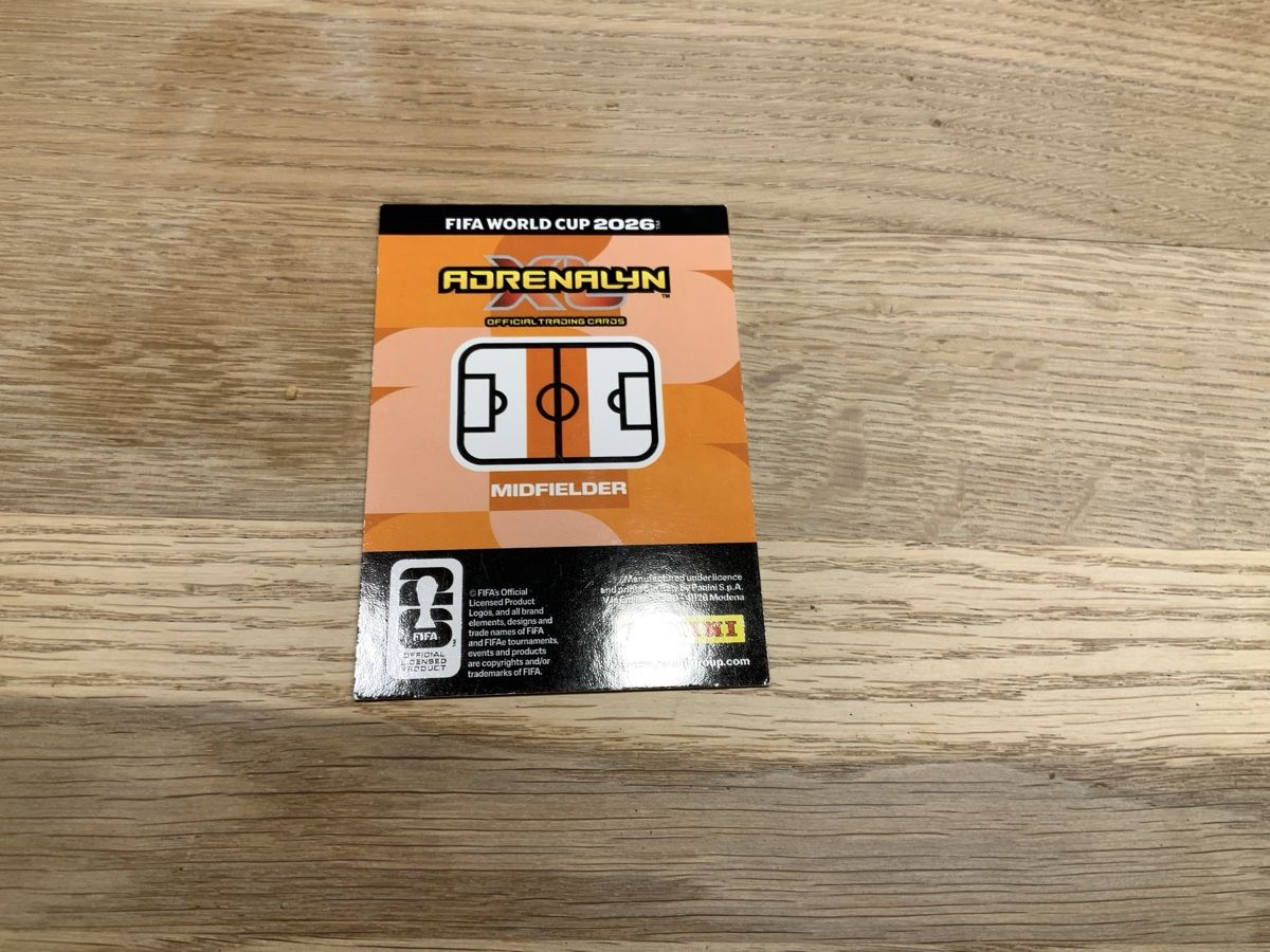 Panini Cartes à collectionner: Panini – D'occasion à Neuenegg par CarreraT 1