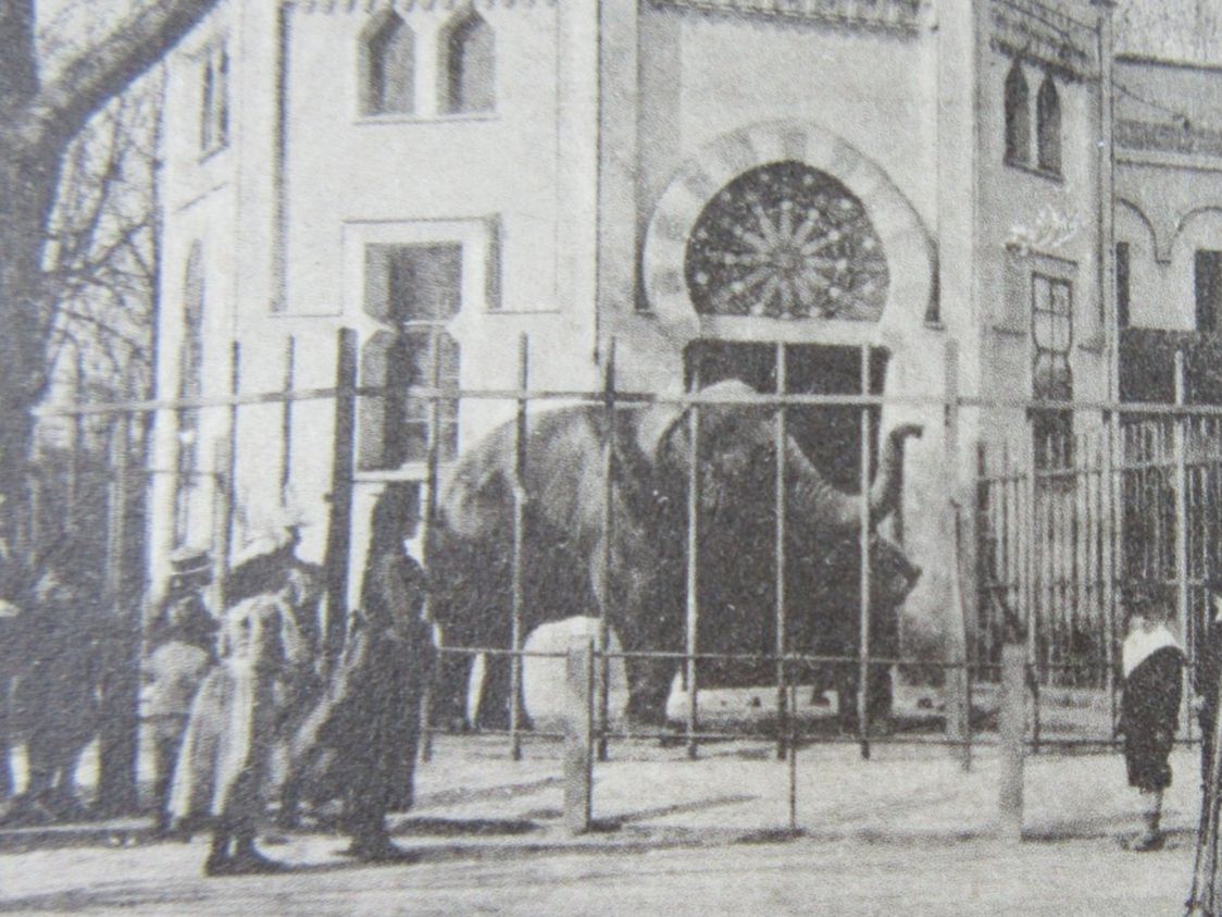 Ansichtskarten: BASEL 1901 ELEFANTENHAUS BELEBT AK-BS – Gebraucht aus Ettingen von Hausi4711 1