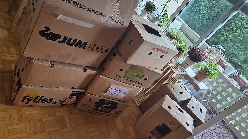 Kartons: Umzugskarton 19 Stk. – Gebraucht aus Muttenz von gas_8hcm