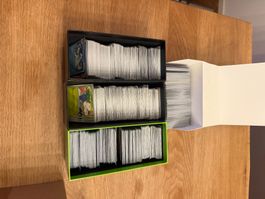 Pokemon Englisch Bulk Common