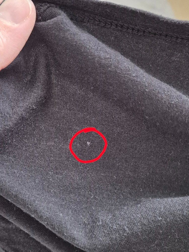 Maglioni & Felpe: 3 Sweatshirt Gr.152 – Usato da Buttisholz venduto da sico20 4