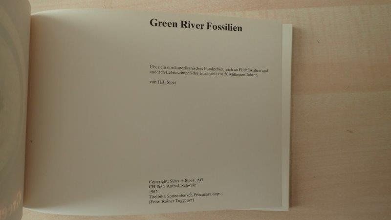 Libri: Buch Green River Fossilien – Usato da Rickenbach BL venduto da Oktober68 1