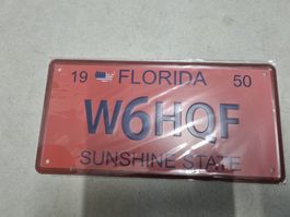 Nummernschild USA