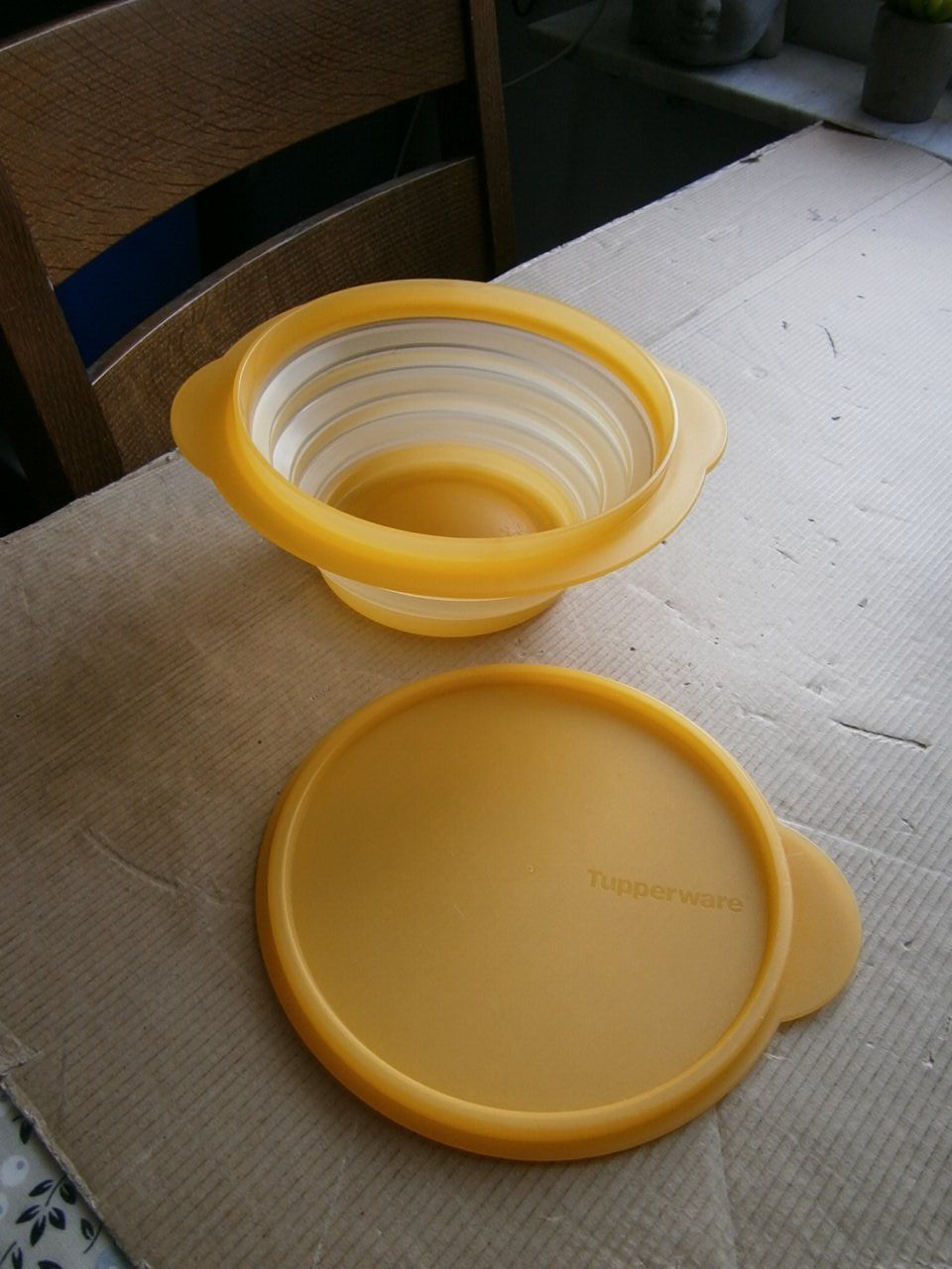 Tupperware Contenitori & Simili: Tupperware 1 Stück klappen schale mit deckel – Usato da Pratteln venduto da 66werni 1