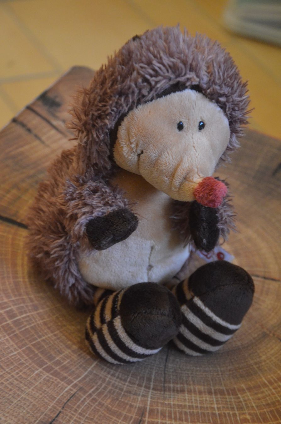 Nici Giocattoli: NICI - IGEL - CM 24 – Usato da Chiasso venduto da Dolly015
