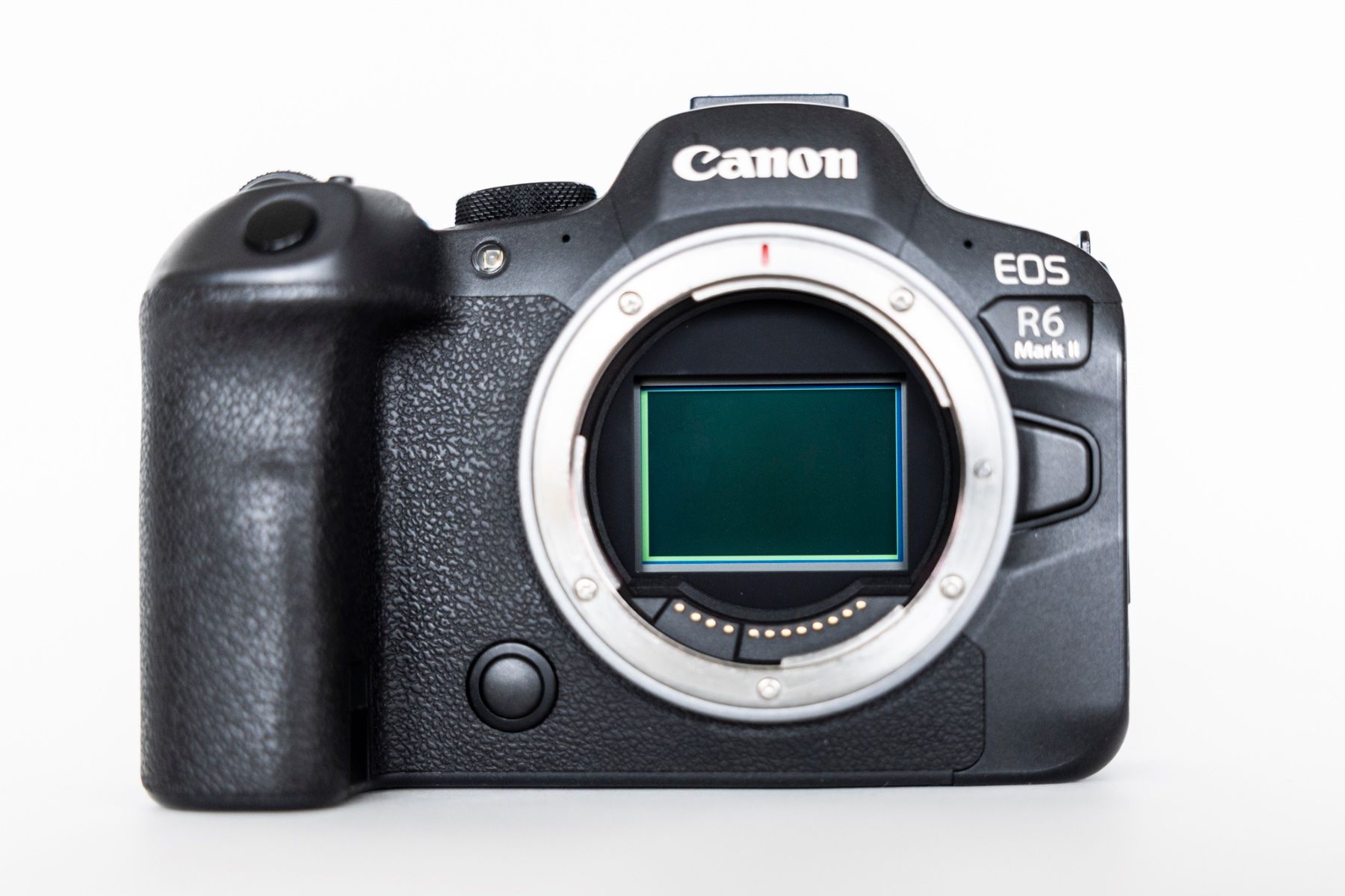 Canon Fotocamera: Canon R6 Mark ii – Usato da steinhausen venduto da westbam50