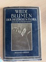 Livre Wilde Blumen der deutschen Flora 1931