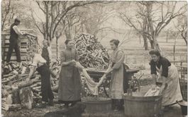 LANDWIRTSCHAFT/WASCHTAG/HOLZSPALTEN 1910