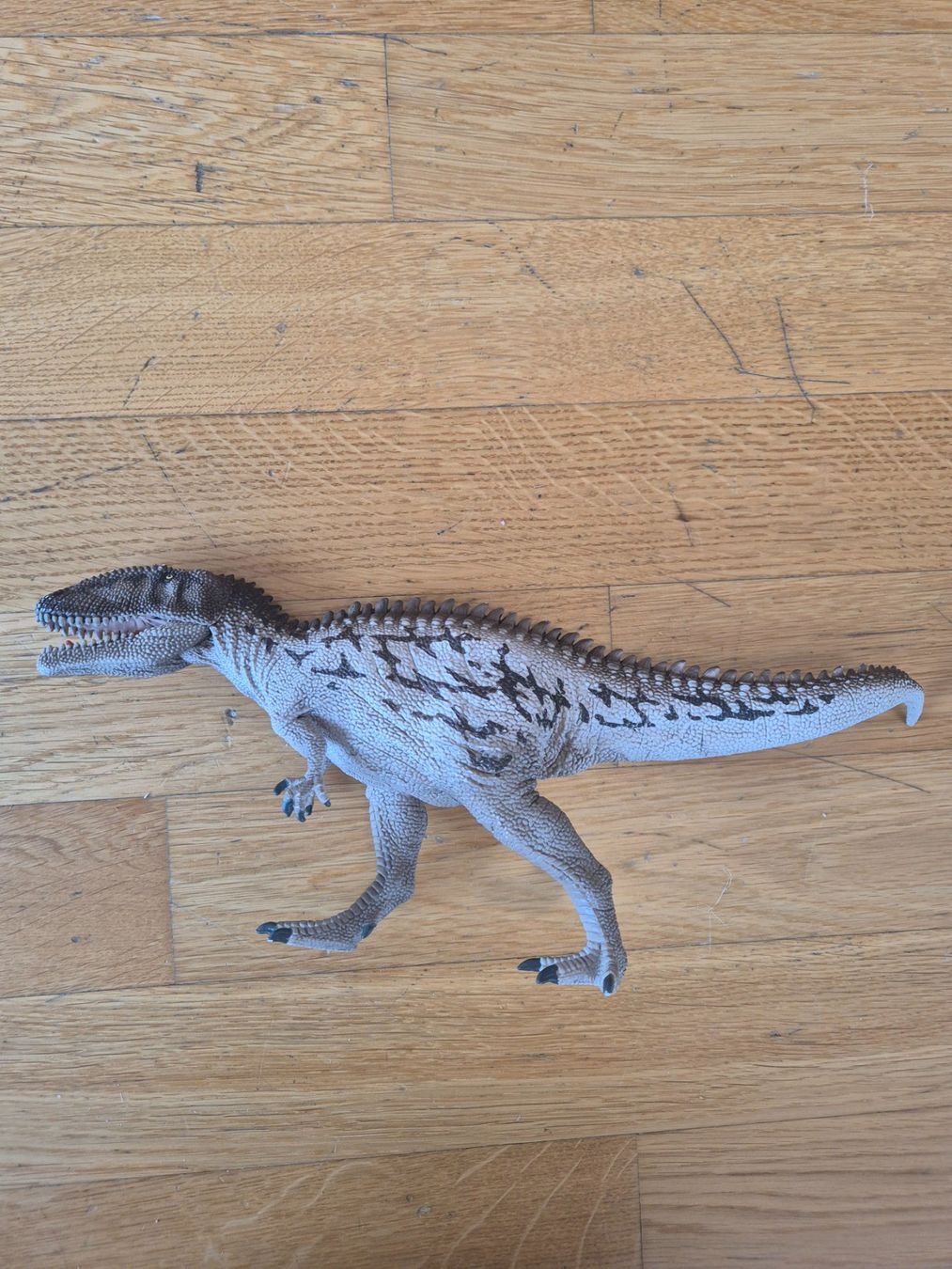 Schleich Giocattoli: Schleich Carcharodontosaurus – Usato da Zürich venduto da val_wbt7