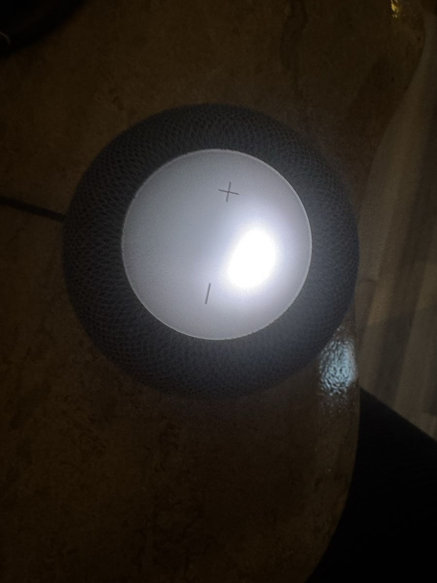 Apple Casse acustiche: HomePod mini Apple gris sidéral -  – Usato da Biel/Bienne venduto da Baol1 1