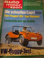 AMS 2/70 Capri Opel Diplomat V8 Karmann Buggy Peugeot 304 xx