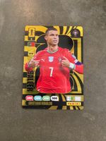 Panini Adrenalyn
