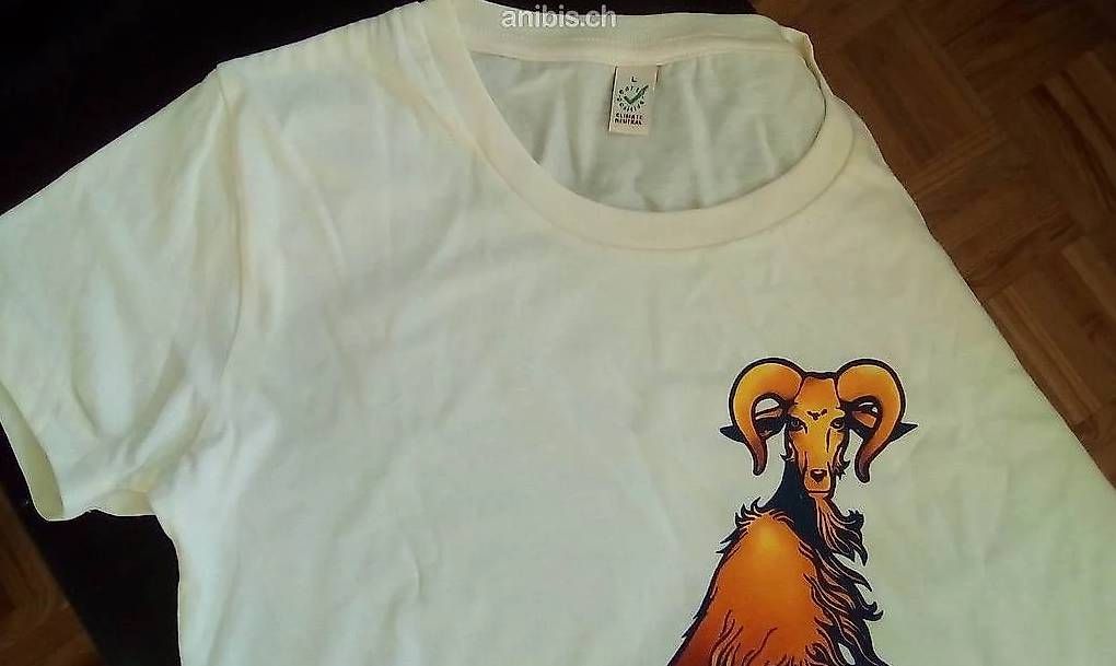 T-shirt: T-Shirt de Queen neuf, neu – Nuovo e nell'imballaggio originale da Icogne venduto da luna.16 1