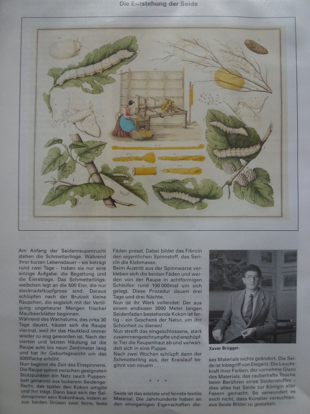 Foto & Immagini: Wunderschönes Jacquard Seidenbild von Xaver Brügger – Usato da Walkringen venduto da Casablanca777 8