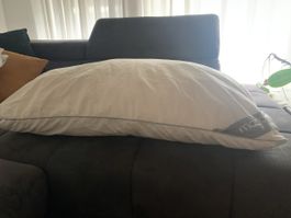 2x grosse Kopfkissen 65x100cm